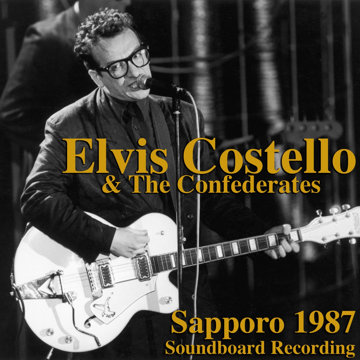 ElvisCostelloAndTheConfederates1987-11-20KoseinenkinHallSapporoJapan (2).jpg